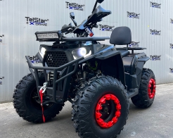 ATV TELSTAR TS-250 ARMOUR с лебедка и всички екстри Нов модел 2026 снимка 187